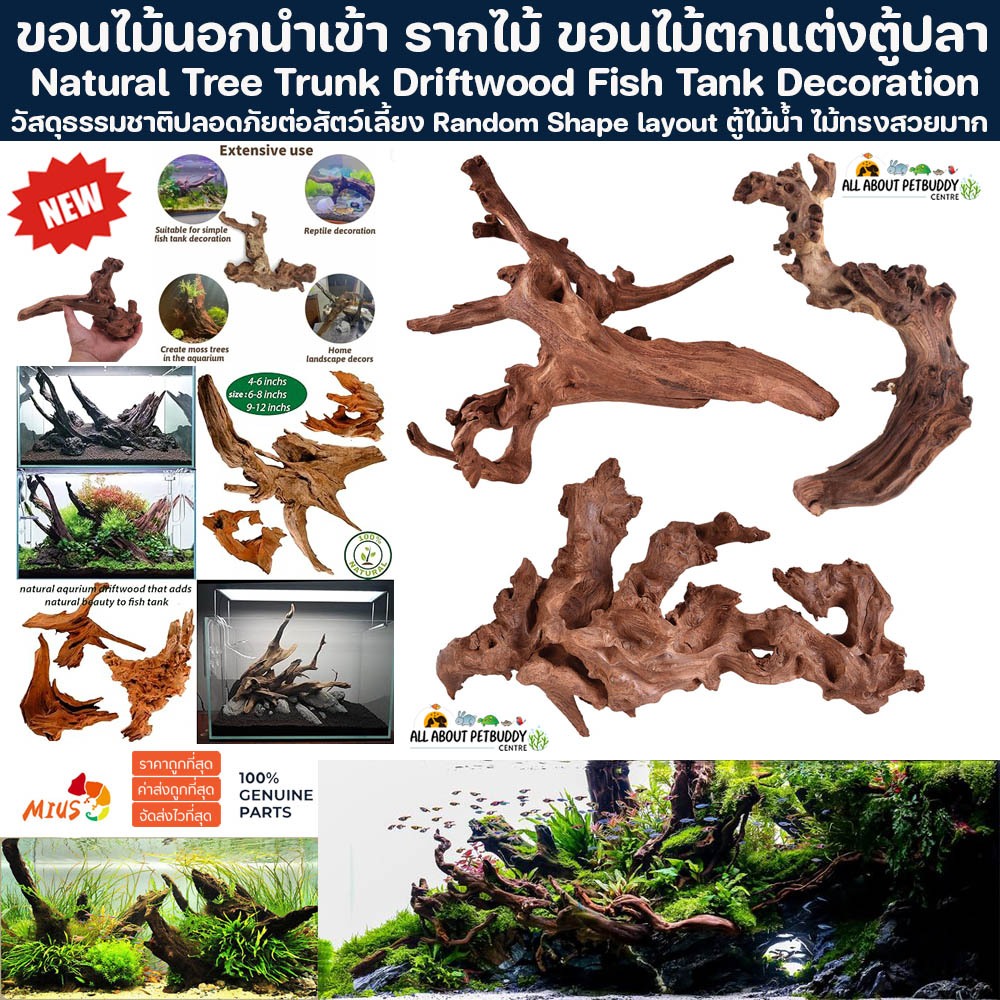 ขอนไม้นอกนำเข้า คัดเกรด รากไม้ ขอนไม้ตกแต่งตู้ปลา ตกแต่งตู้ปลา กิ่งไม้ขนาดเล็ก​ กิ่งไม้แต่งตู้ปลา ทรงสวย ขอนไม้ ธรรมชาติ