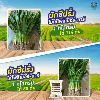 โพลิเมอร์-อาร์ 5กก.สารเคลือบปุ๋ยยูเรีย 46-0-0 ได้ถึง 50กก. ลดการใส่ปุ๋ย ช่วยปุ๋ยละลายช้า