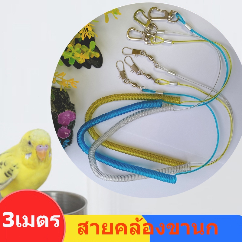 ถูก 3 เมตร สายคล้องขานก สายจูงนกแบบยึด กันนกหลุดหนี