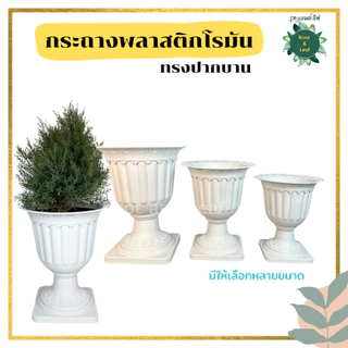กระถางโรมัน ทรงปากบาน สีขาว สวยหรู ทรงสูง กระถางพลาสติกอย่างหนา เกรด AAA รูปทรงสวยงาม น้ำหนักเบา เคลื่อนย้ายสะดวก ไม่หน