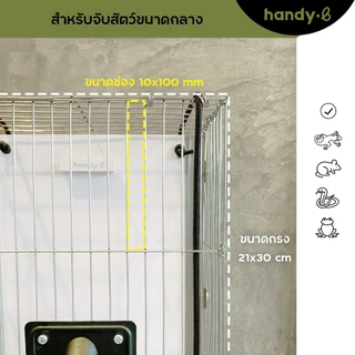 ไม้จับตุ๊กแก งู หนู อึ่งอ่าง และสัตว์มีพิษต่างๆ handy.b ไม้จับแมลง