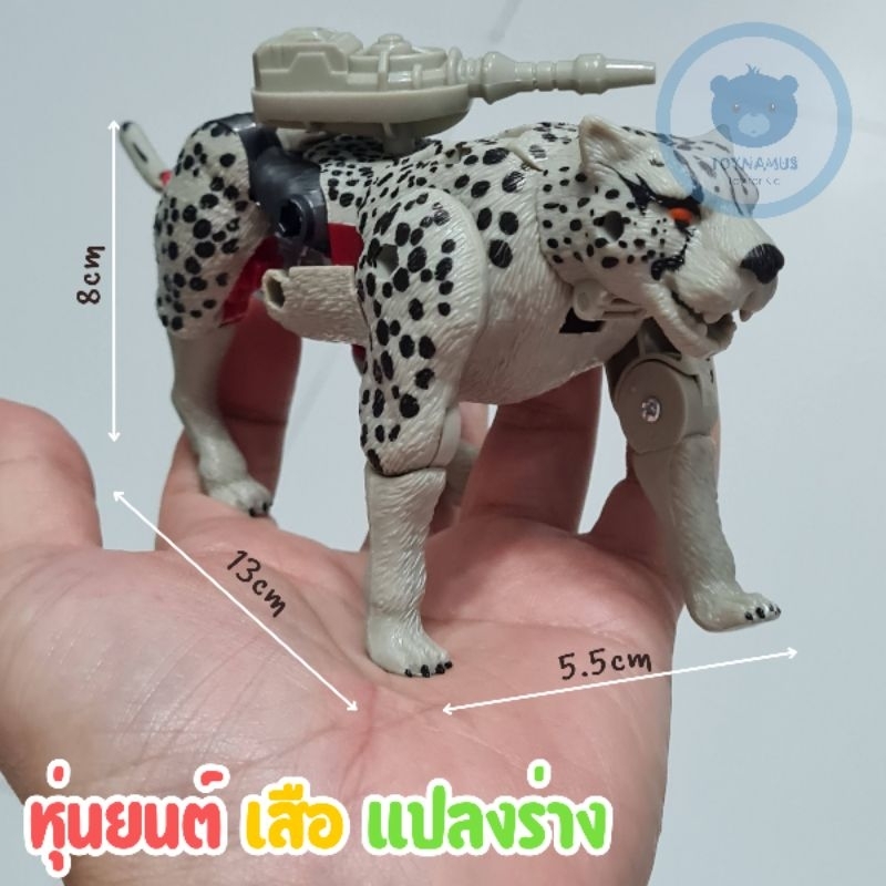 หุ่นยนต์ เสือแปลงร่าง หุ่นยนต์แปลงร่าง โมเดล หุ่นประกอบ transformer