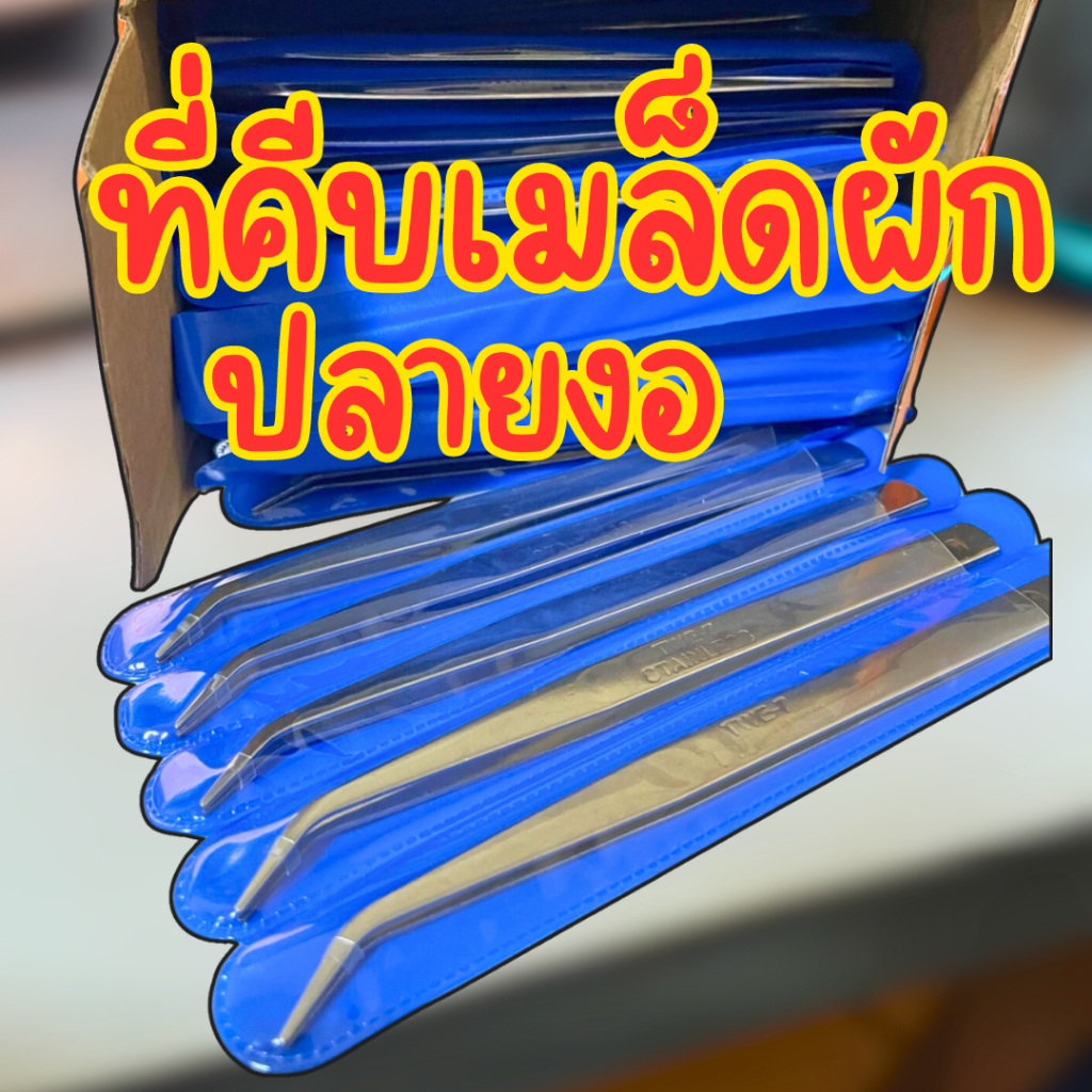 ที่คีบเมล็ดปลายงอ ที่คีบเมล็ดฟอร์เซป สแตนเลส