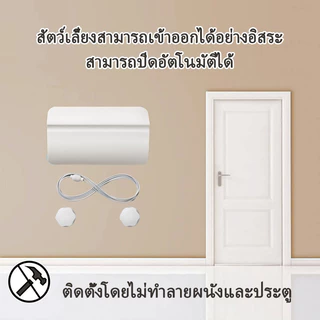 ประตูแมวไม่เจาะ ประตูสุนัข ติดตั้งง่าย ไม่ต้องเจาะ ประตูไม่เสียหาย ที่เปิดประตูสัตว์เลี้ยง cat door