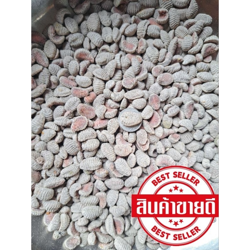 ไข่จั๊กจั่น ของป่าหากินยาก🪺มีของพร้อมส่งเด้อจ้า ✅️แถมฟรีใบตอง✅️