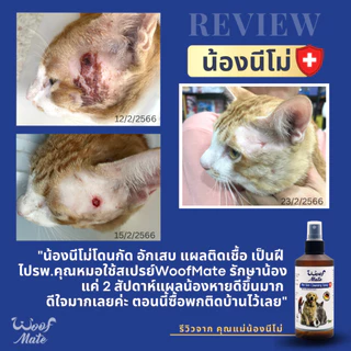 สเปรย์WoofMate30ml บรรเทาอาการเชื้อรา ยีสต์ เรื้อน ลดอักเสบ คันเกา แผลถูกกัด แผลติดเชื้อ แผลกดทับ แผลเรื้อรัง
