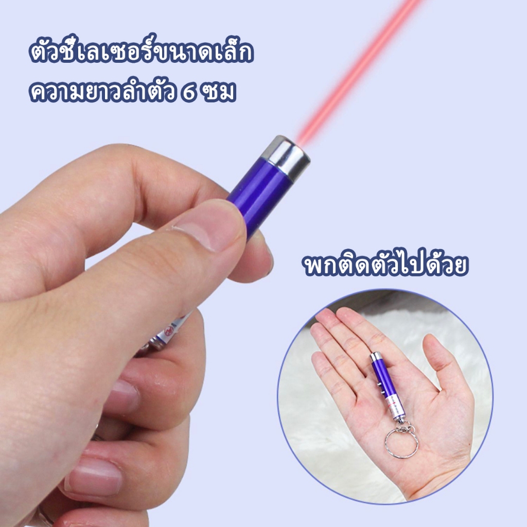 รูปภาพ 7