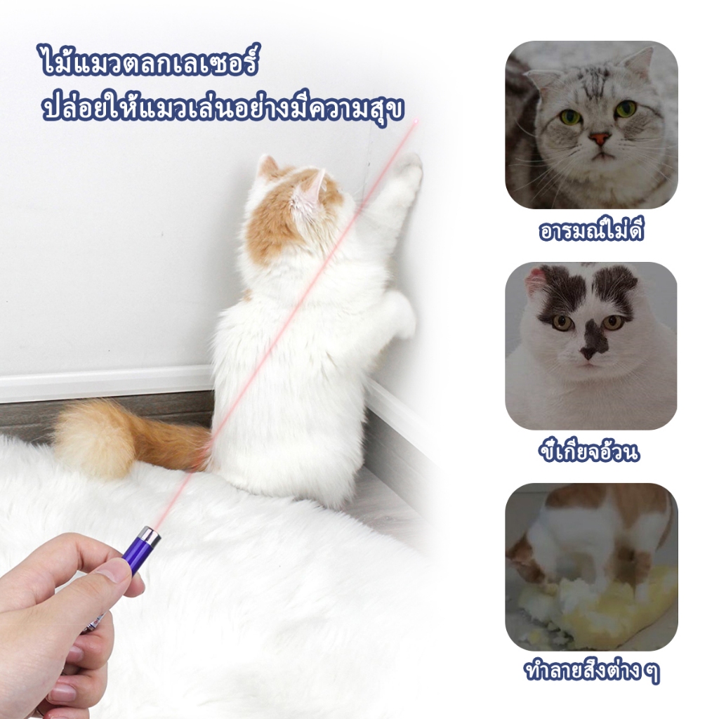 รูปภาพ 8