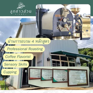 กาแฟคั่ว ดอยผาฮี้ ขนาดใหม่ ขนาด 100g. อาราบิก้า100% ถุงซิปล็อค - กาแฟคั่วลูกชาวสวน