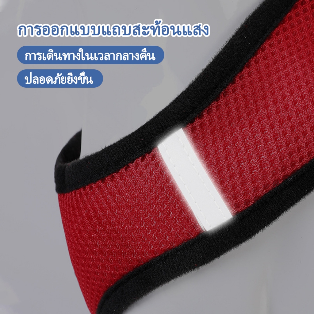 รูปภาพ 3