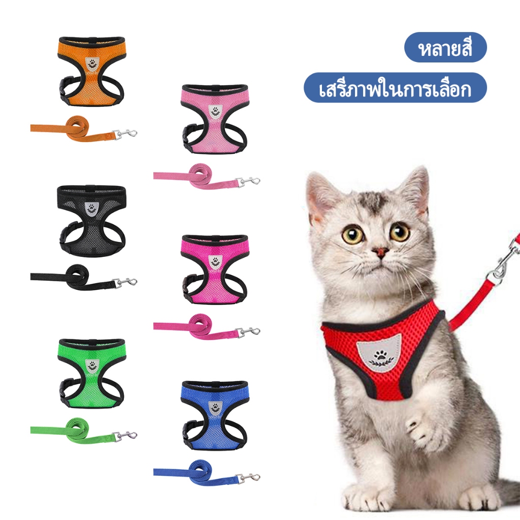 รูปภาพ 7