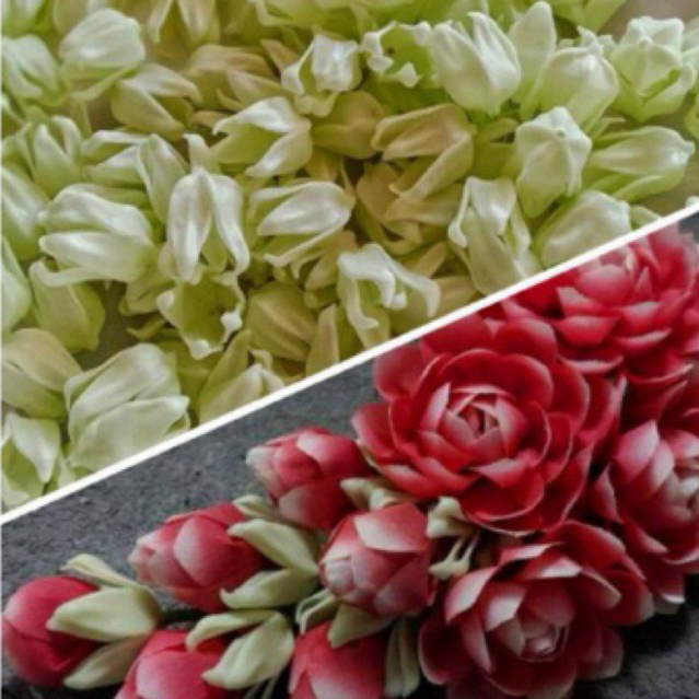 [ถูกที่สุด]กลีบรัก กลีบเปลือกรัก เปลือกรักเสมือนจริง สินค้าคุณภาพ เหมือนจริงที่สุดในสามโลก – โปรปัง