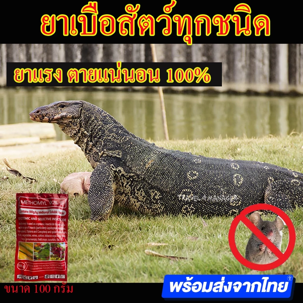 หัวเชื้อใช้ทำเหยื่อกำจัดสัตว์ สูตรแรง ยาเบือ ยาเบื่อ ยาเบื่อหนู ยาเบือหนู แลนเนท เมโทรมิล 97% 100กรัม ตะกวด หมา แรทเนท