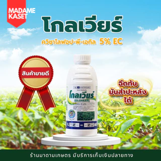 โกลเวียร์ เคลียร์หญ้า ฉีดทับมันสำปะหลังได้ ใบแคบเอาอยู่ ปลอดภัยต่อมัน ฉีดทับได้ทั้งมันและแปลงผัก (1 ลิตร)