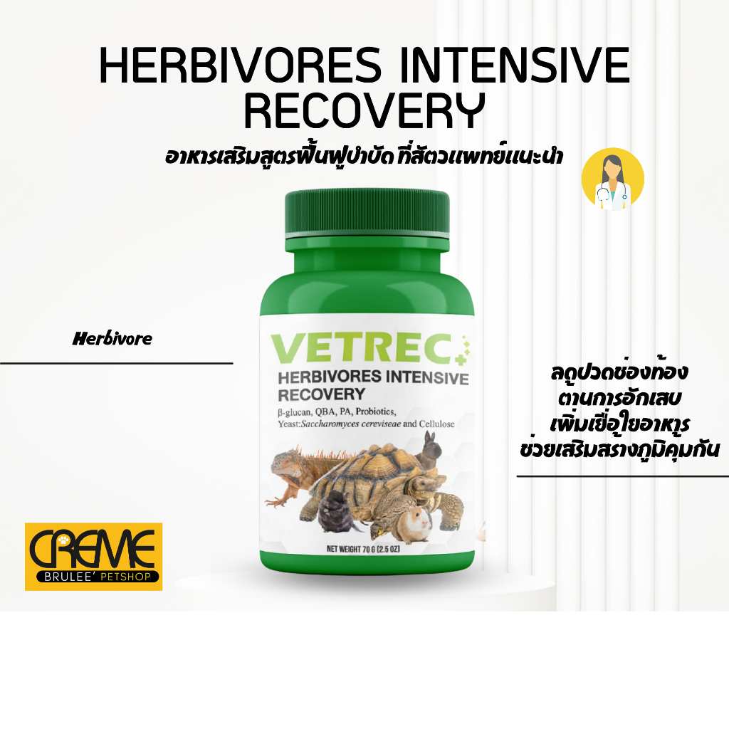 อาหารฟื้นฟูสัตว์ป่วย Vetrec Herbivores Intensive Recovery 70 g.