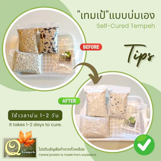 เทมเป้ถั่วลูกไก่ล้วน (200g-1kg) โปรตีนพืช ไฟเบอร์สูง บ่มง่าย เหมาะกับผู้ที่หลีกเลี่ยงทานถั่วเหลือง