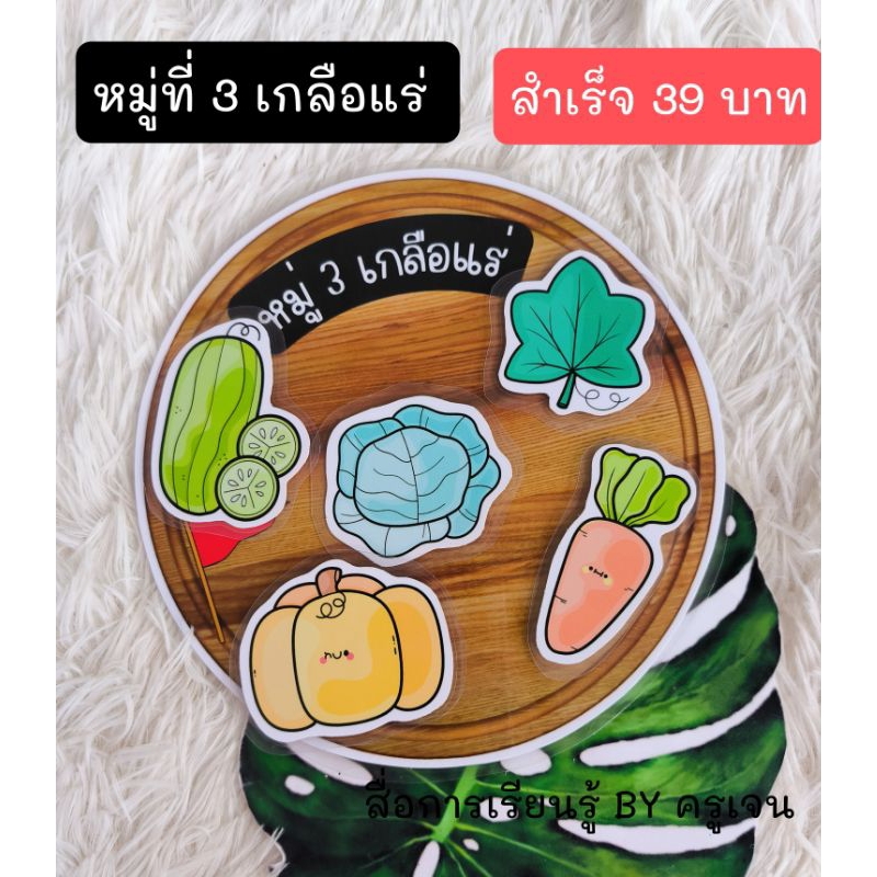 สื่อการสอนอาหารหลัก 5 หมู่ เคลือบร้อน ติดตีนตุ๊กแก พร้อมใช้