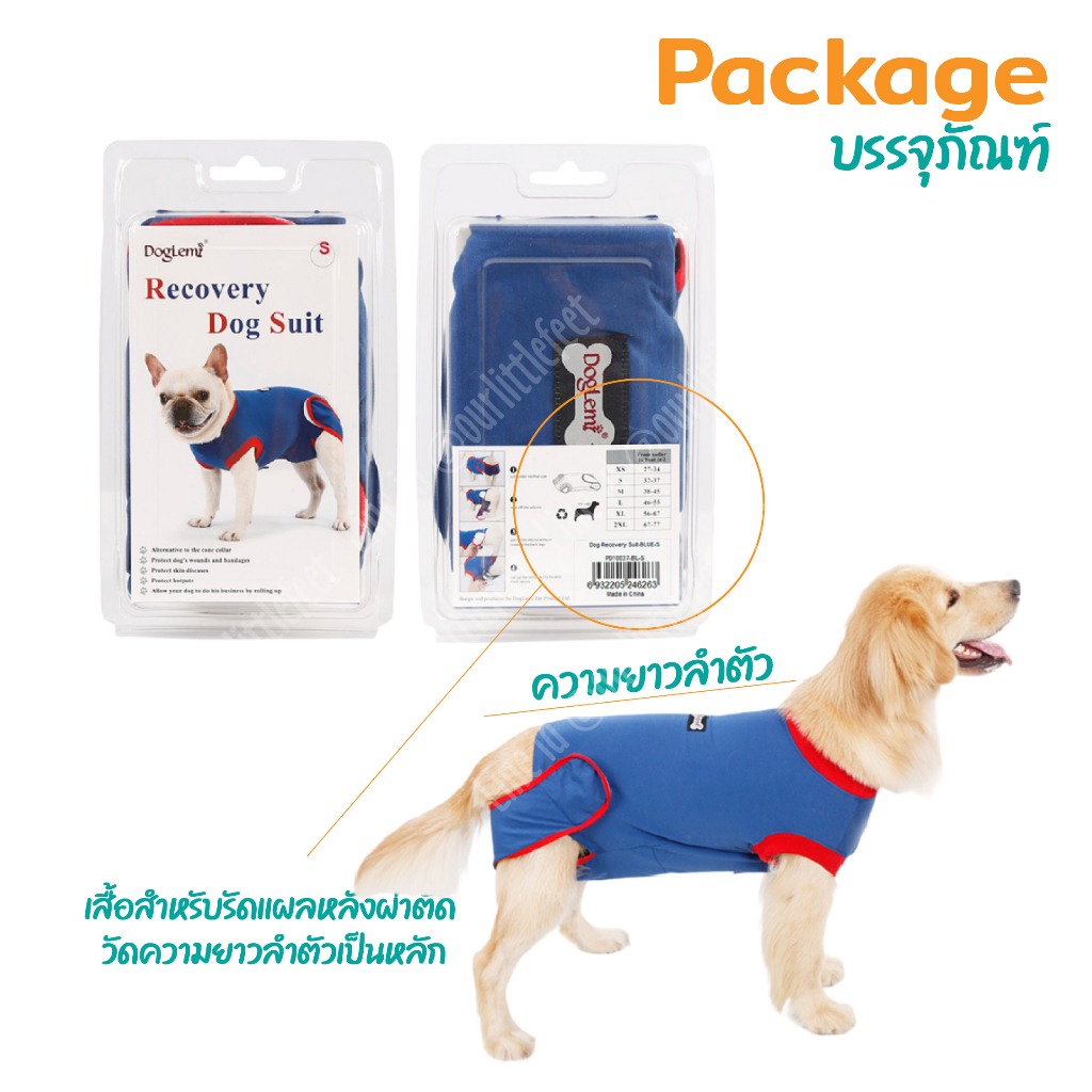 ชุดหลังผ่าตัดสุนัข Lemi - รูปที่ 5