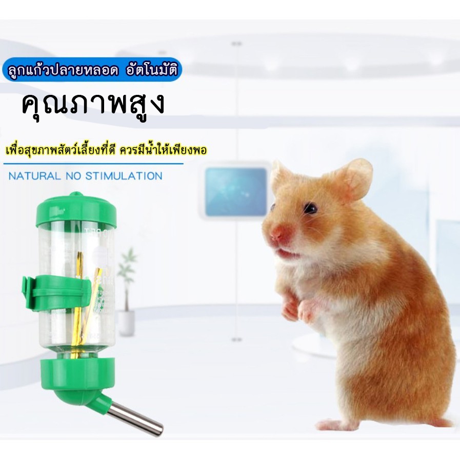 รูปภาพ 4