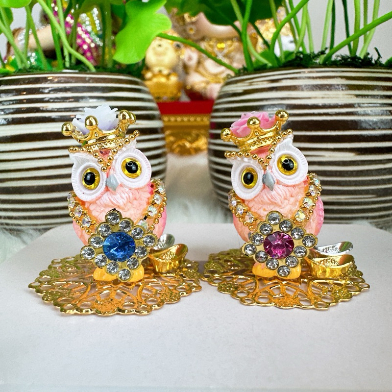 นกฮูกพระแม่ลักษมี รุ่นจิ๋วแต่แจ๋ว สีฟ้าชมพู🩷🩵 - รูปที่ 4