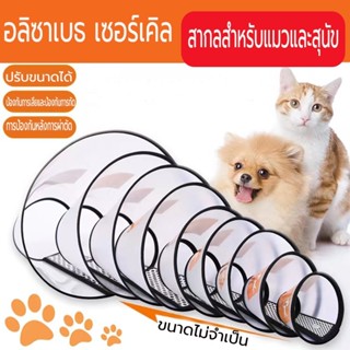 ปลอกคอกันเลีย ลำโพงกันเลีย คอลล่ากันเลีย elizabeth collar ปร…