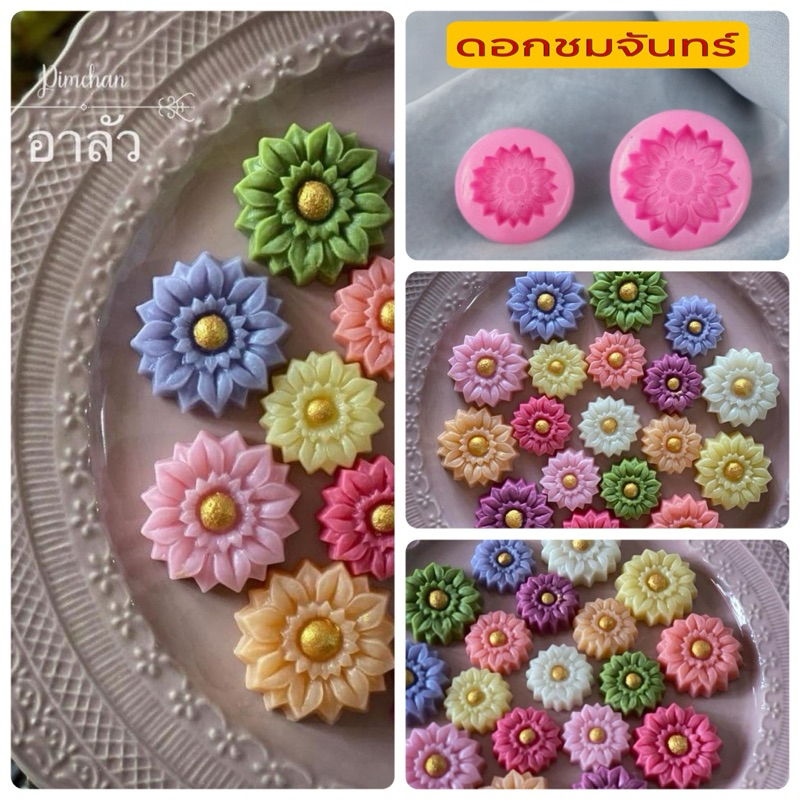 ดอกชมจันทร์ พิมพ์ซิลิโคนอาลัว H-10