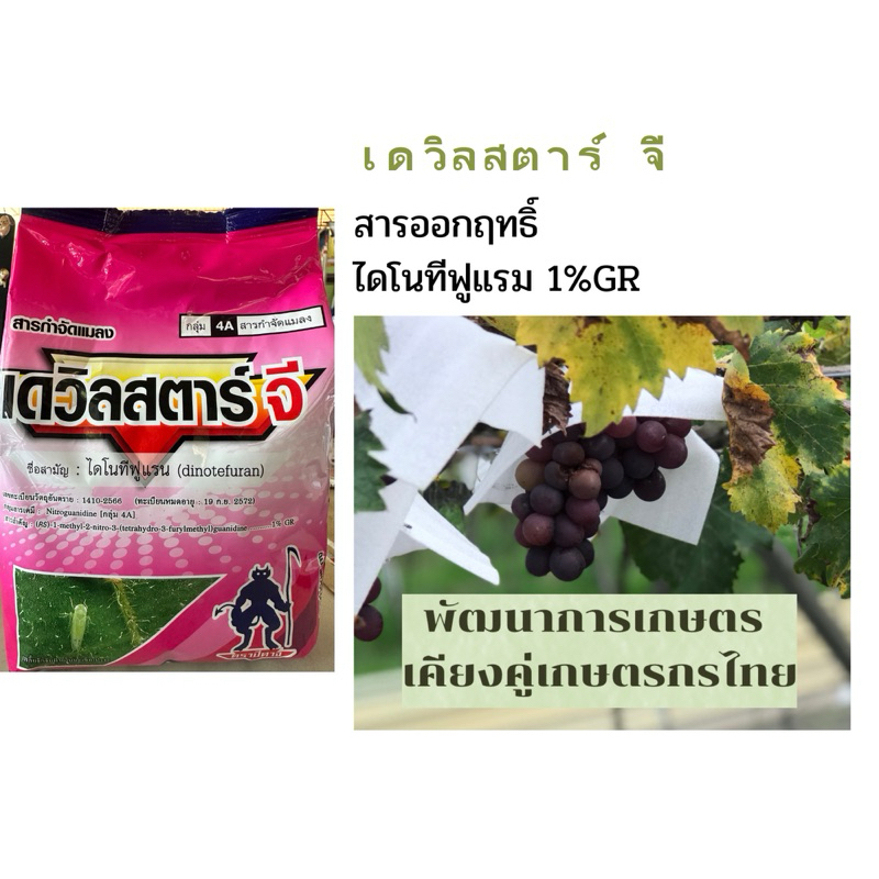 ยาตัวเดียวกับ สตาเกิลจี สารกำจัดแมลงชนิดดูดซึมเข้าทางระบบราก 1กิโลกรัม