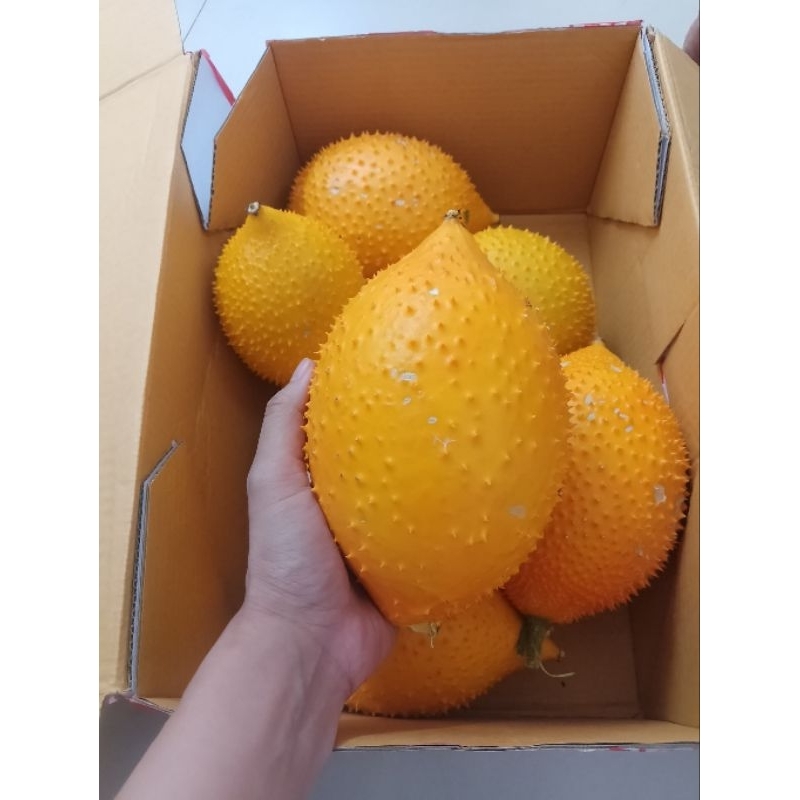 ฟักข้าว (สุก) รุ่นสีเหลืองอมส้ม ปลอดสาร  1กิโล (ปั่น สกัด) อื่นๆ