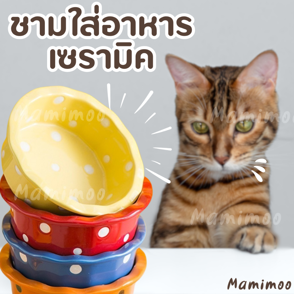 Mamimoo ชามข้าวแมว ชามเซรามิกลายจุด ชามมีหลากหลายสีคัลเลอร์ฟลูมาก ชามอาหารสัตว์เลี้ยง ชามแมว