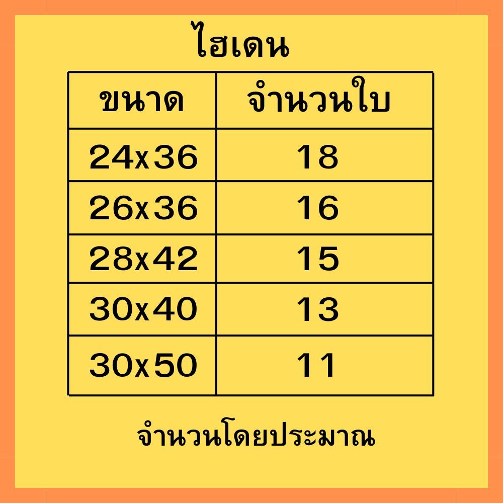 ถุงไฮเดนใบใหญ่ ถุงพลาสติกขุ่นใบใหญ่ เกรดAB ใส่ของ ใส่ผ้าใส่เสื้อยืด24×36 26×36 28×42 30×40 30×50 ราคา ถูกที่สุด ดีลบีเคเค แกลเลอรีภาพที่ 7