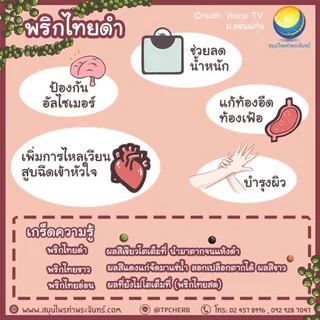 พริกไทยดำ ขนาด 1 กิโลกรัม " คัดมือ ด้วยความใส่ใจ " ( หัวพริก หนัก ไม่ร่อน ไม่ผสมเปลือก ) พริกไทยดำ พริกไทย