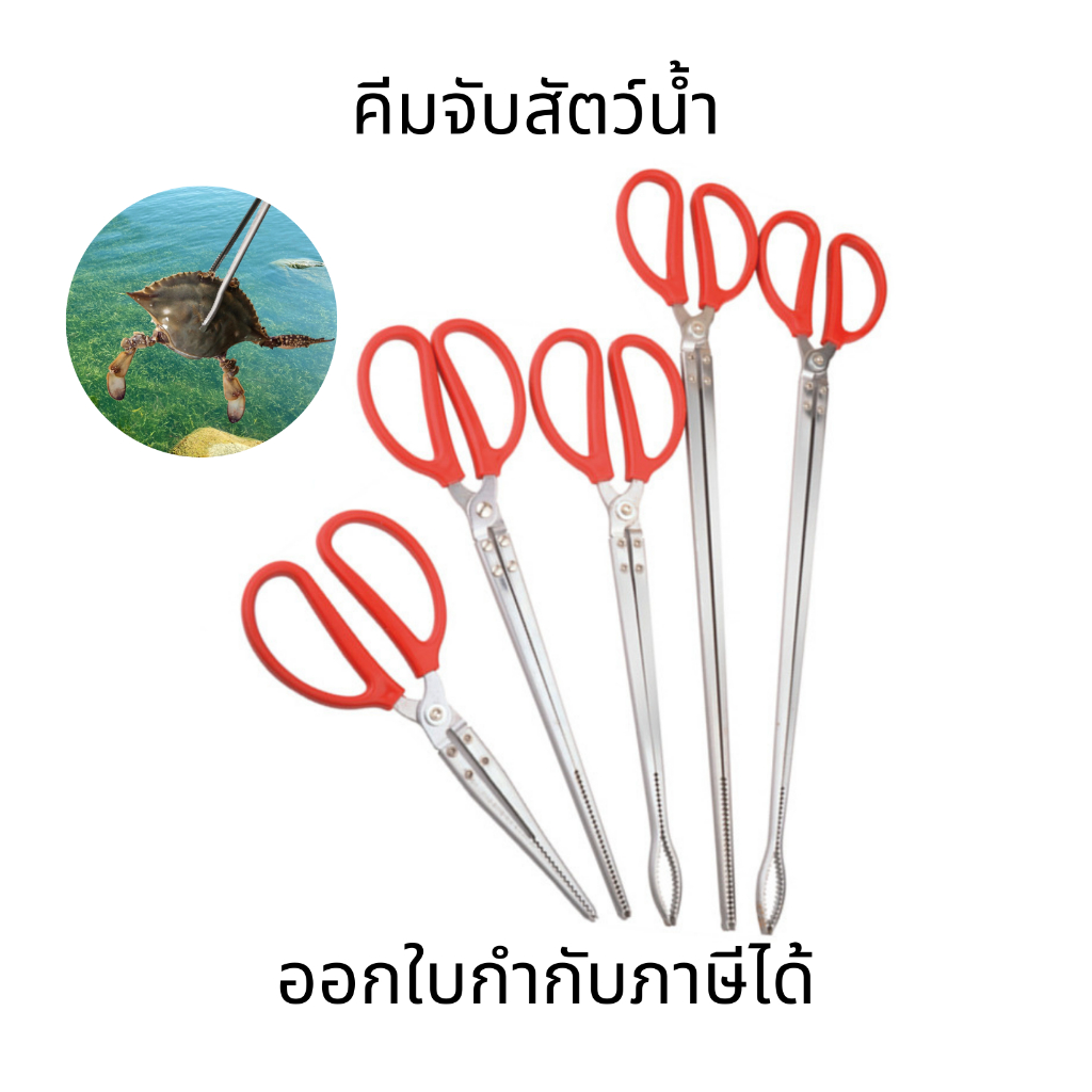 คีมจับสัตว์น้ำ ที่หนีบปลาไหล เหล็กชุบ สำหรับคีบปลาไหล คีมจับกุ้ง อเนกประสงค์ ทนทาน ใช้งานง่าย ป้องกันการลื่นไถล