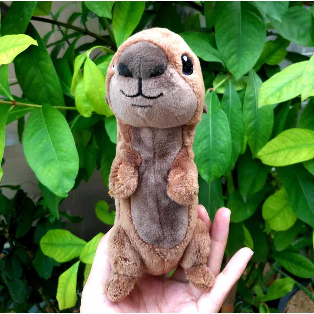 ตุ๊กตาจากเรื่อง Disney Finding Nemo Cute Soft Otter ขนาด 5-7 นิ้ว