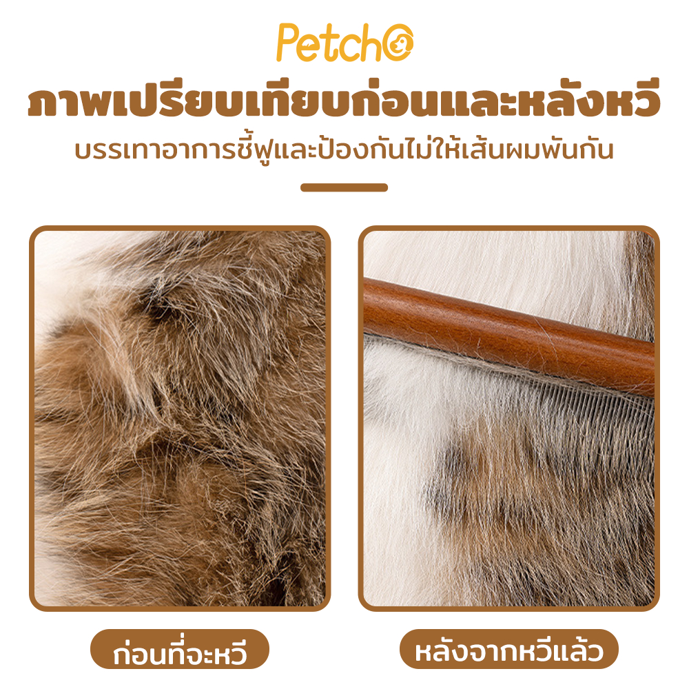 รูปภาพ 3