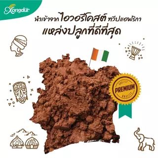 Xongdur ผงโกโก้เข้มข้นแท้ 150g. [Keto] Dark Cocoa Powder นำเข้าจากแอฟริกา ไม่มีน้ำตาล