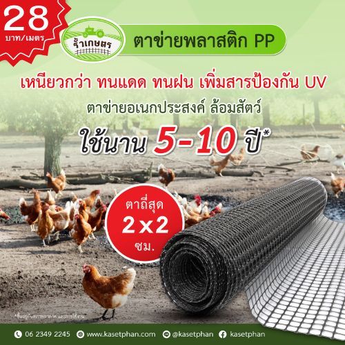 ตาข่ายพลาสติก PP ช่องถี่ 2x2 / 3.8x3.8 ซม. ตาข่ายอเนกประสงค์ เหนียว ทนแดด พิเศษ เพิ่มสารป้องกัน UV ทนกว่า PVC