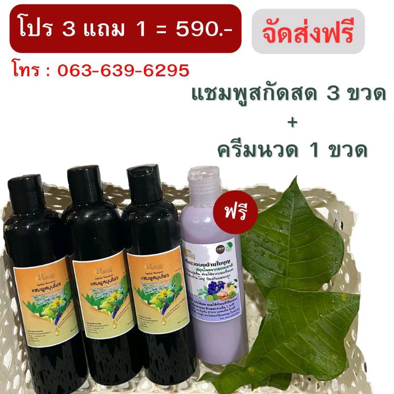 โปร 3 แถม 1=590.-ส่งฟรี แชมพูสกัดสด 3 ขวด ครีมนวด 1 ขวด