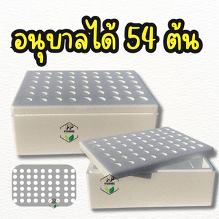 กล่องโฟมปลูกผัก อนุบาลต้นกล้า กล่องโฟม 54 ช่อง สำหรับอนุบาลต้นกล้า ปลูกผักบุ้ง คื่นฉ่าย (**พร้อมถ้วยปลูก 54 ใบ**)