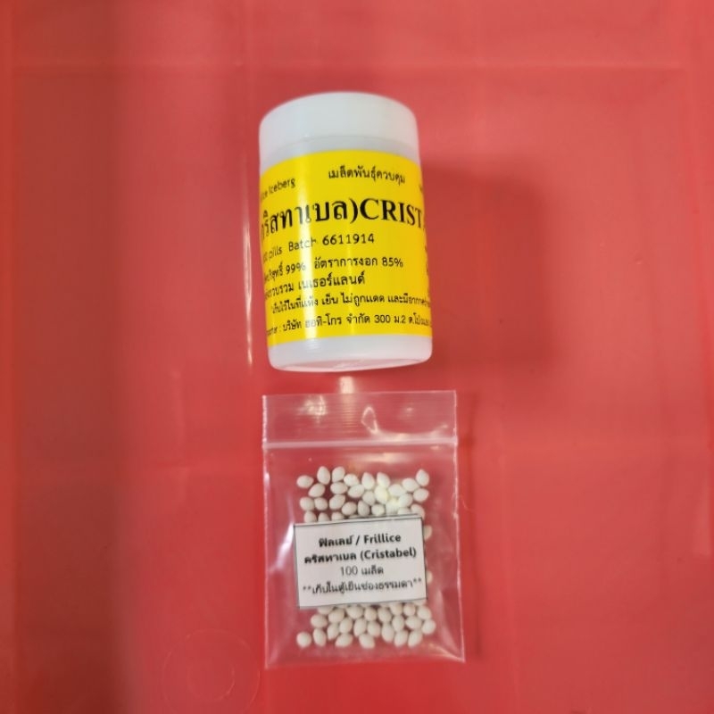 เมล็ดพันธุ์ผักสลัด แบบเมล็ดเคลือบ ENZA ZADEN อัตราการงอก 99% แบ่งบรรจุ 100 เมล็ด - รูปที่ 2