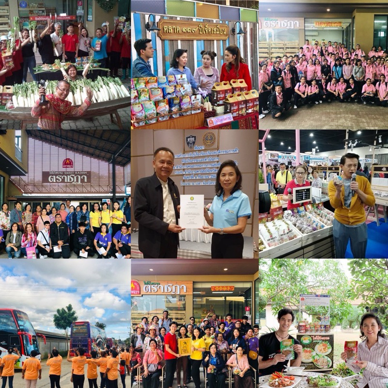 ไชโป้วหวาน ชนิดฝอย ตราชฎา ราชบุรี 1 กิโลกรัม ตำนาน 70 ปี เหมาะสำหรับผัดไข่ ไม่ใส่ผงชูรส ไม่ใส่สี - รูปที่ 5