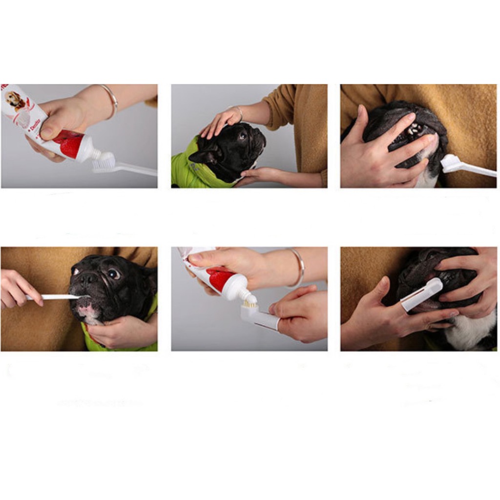 PP-1142 🦷 Arquifresh ยาสีฟันสำหรับสุนัข ขนาด 100 กรัม พร้อมชุดแปรง 🐾 - รูปที่ 2