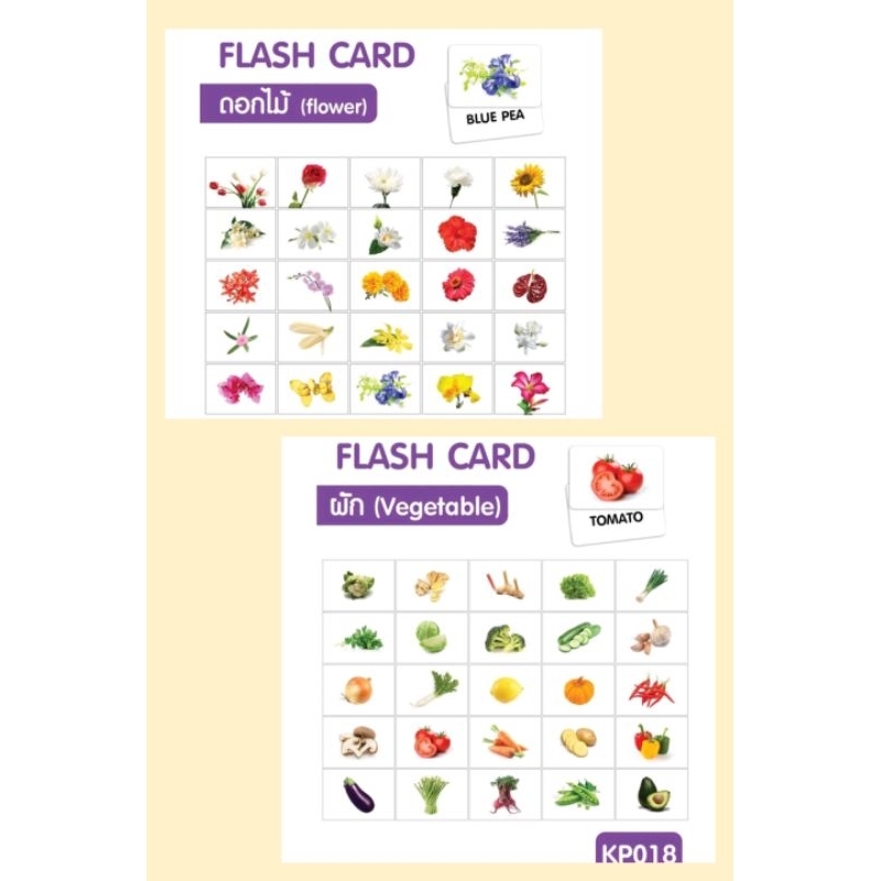 เซ็ทบัตรคำศัพท์ภาษาอังกฤษ(Flash card) 2 หมวด ผัก และ ดอกไม้