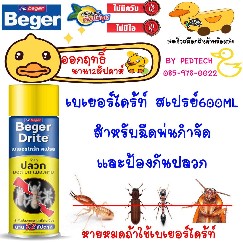 เบเยอร์ไดร้ท์ สเปรย์ สำหรับฉีดพ่นกำจัด มด แมลงสาบ ปลวก มอด และป้องกันปลวก ออกฤทธิ์ 12 สัปดาห์ 600ML