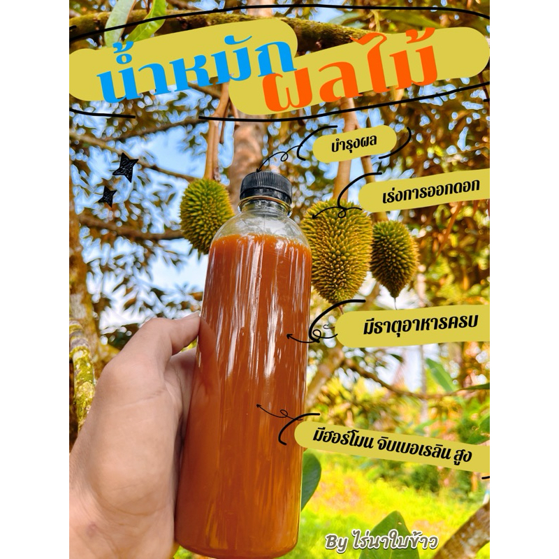 น้ำหมักผลไม้สุก( 500ml)
