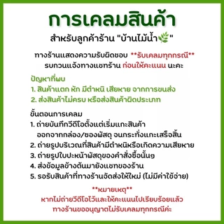 ตาข่ายกันปลากระโดด ตาข่ายตู้ปลา ตาข่าย กันกุ้งสัตว์น้ำกระโดด ช่องถี่ 0.6 ซม. ตัวหนีบกระจกได้หนาสุด 1.5 ซม. | บ้านไม้น้ำ🌿