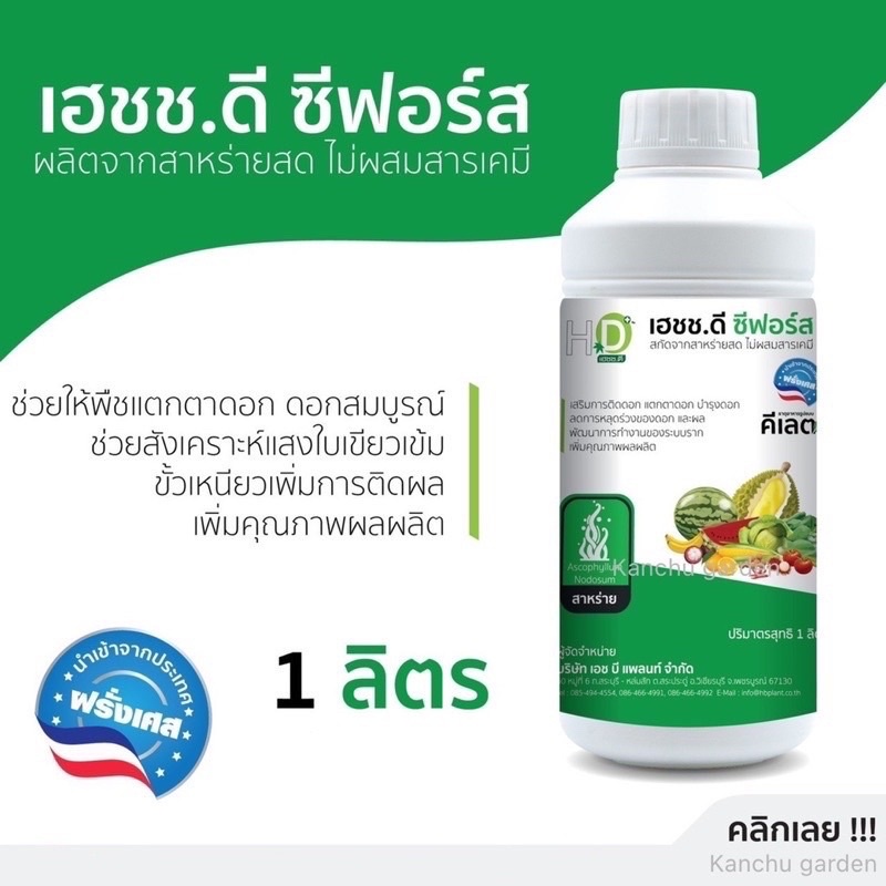 เอชดี.ซีฟอร์ส HD สาหร่าย สกัดสดสีน้ำตาล จากทะเลน้ำลึก กระตุ้นการเจริญเติบโต ความแข็งแรง ใบและลำต้น เพิ่มปริมาณโปรตีน ช่ว