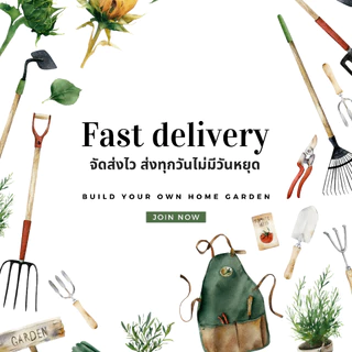 เมล็ดมะเขือเทศเชอรี่ เมล็ดพันธุ์จาก FarmJN