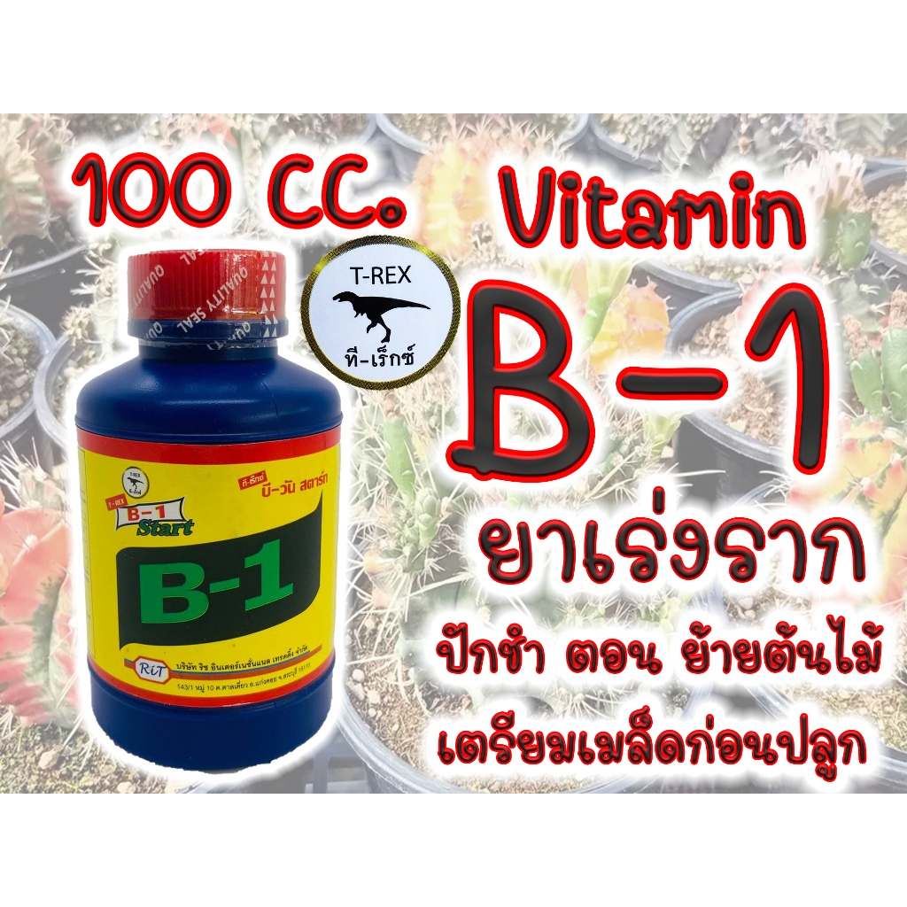 (100 cc.) B1 T-REX น้ำยาเร่งราก B-1 บี วัน 100 cc. เร่งราก เเคคตัส กระบองเพชร ไม้ฟอกอากาศ บอนสี ไม้ด่าง ต้นไม้ทุกชนิด