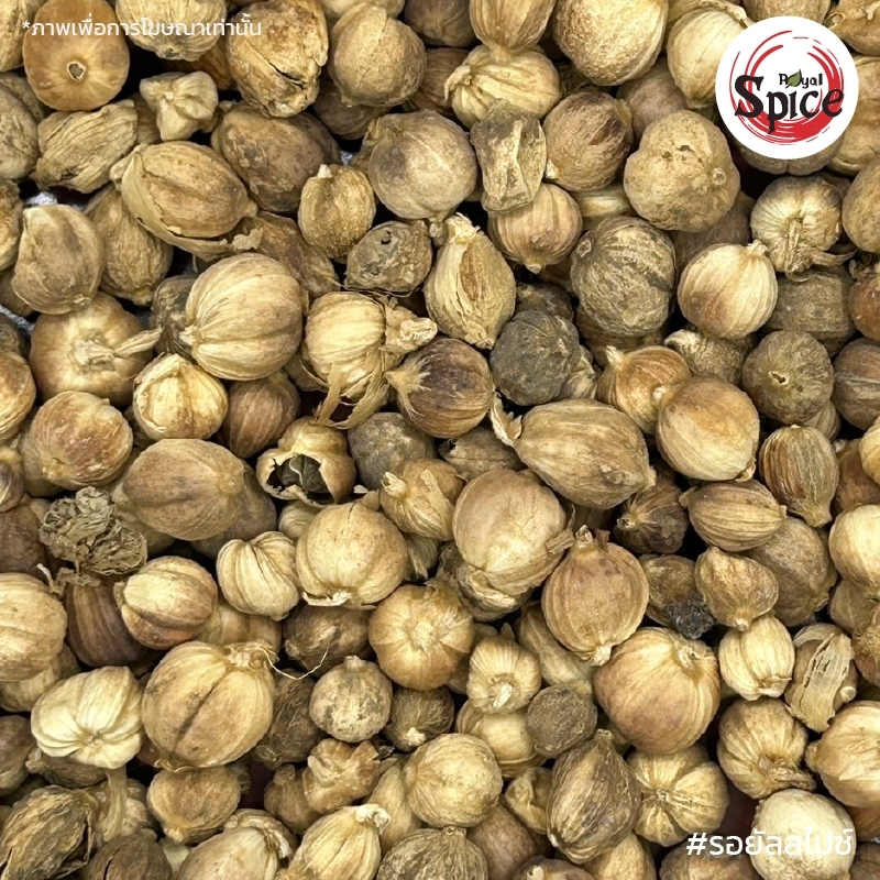 ลูกกระวานเทศ (แปะเต่าโข่ว) 白豆蔻 ขนาด 500 กรัม/1 กิโลกรัม