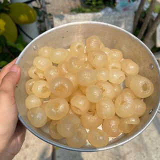 มีสปริง/ไม่มีสปริง ที่เจาะเม็ดลำไย ที่คว้านเม็ดลำไย ที่แกะลำไย ที่เจาะเม็ดพุทรา
